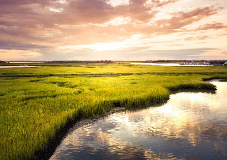 Johns and Wadmalaw Islands, Charleston, South Carolina